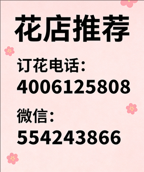 毕节黔西市花店哪家好